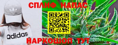крисы Тверь