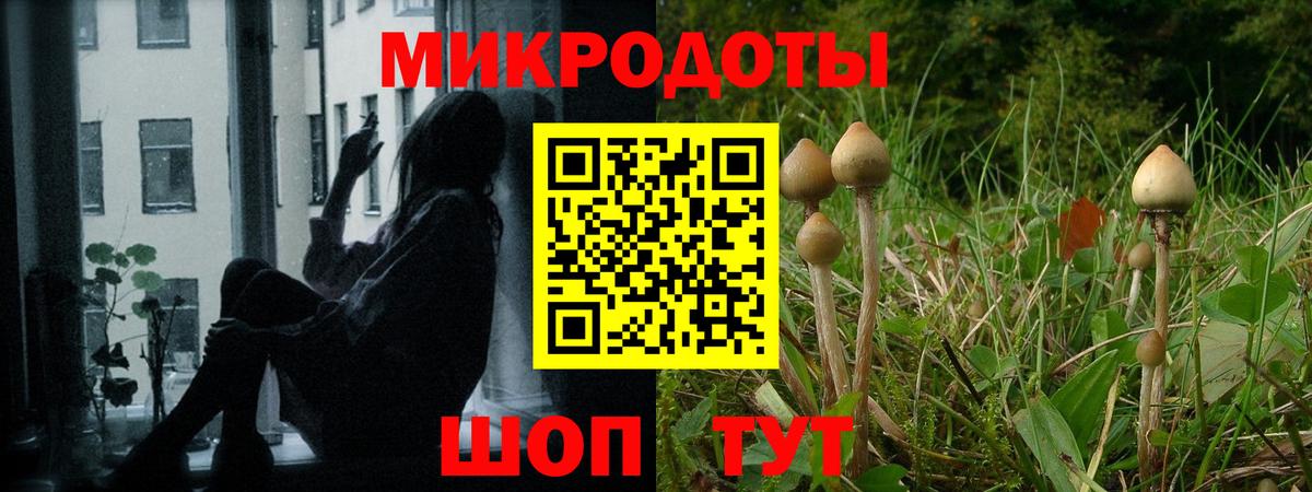 Новотроицк  Галлюциногенные грибы Psilocybine cubensis  Вход с VPN  Галлюциногенные грибы мухоморы 